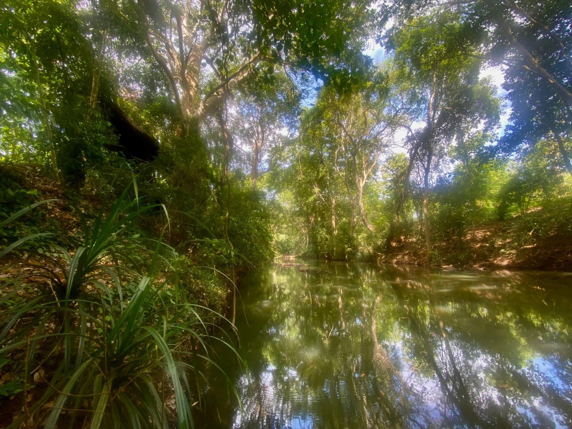 Chika'S Place River View Udawalawa Удавалаве Екстериор снимка