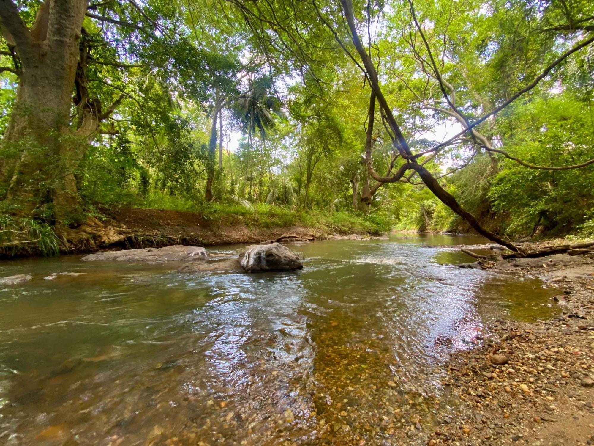 Chika'S Place River View Udawalawa Удавалаве Екстериор снимка