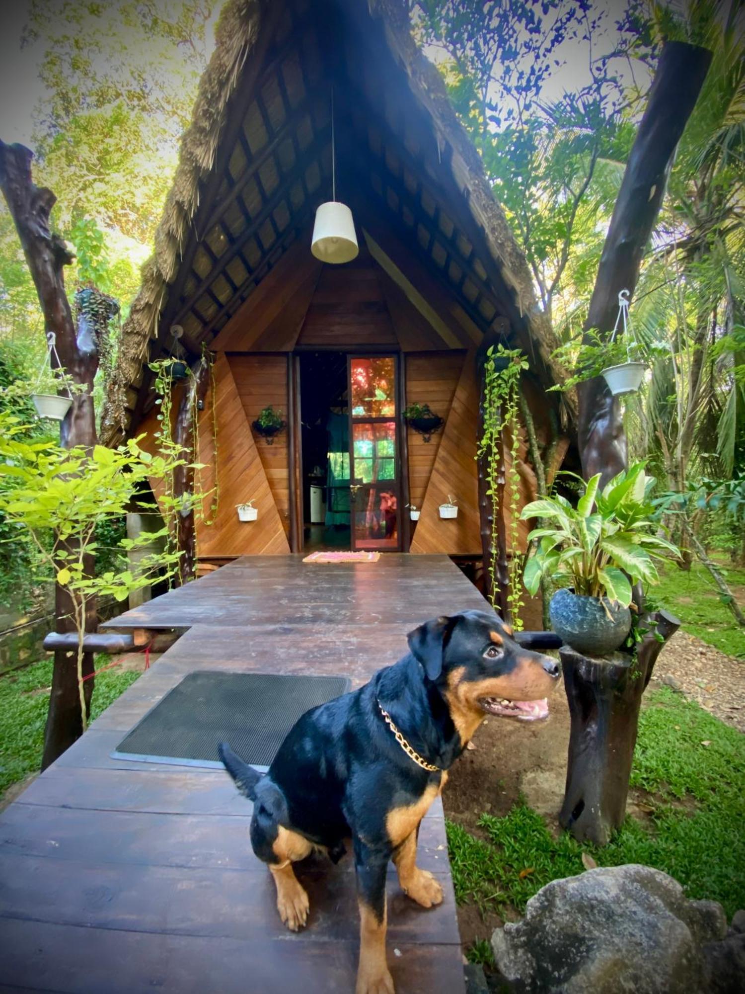 Chika'S Place River View Udawalawa Удавалаве Екстериор снимка